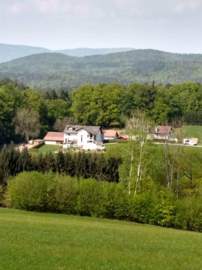 Ferienwohnung Betula Fürstenstein Exterior foto